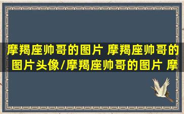 摩羯座帅哥的图片 摩羯座帅哥的图片头像/摩羯座帅哥的图片 摩羯座帅哥的图片头像-我的网站